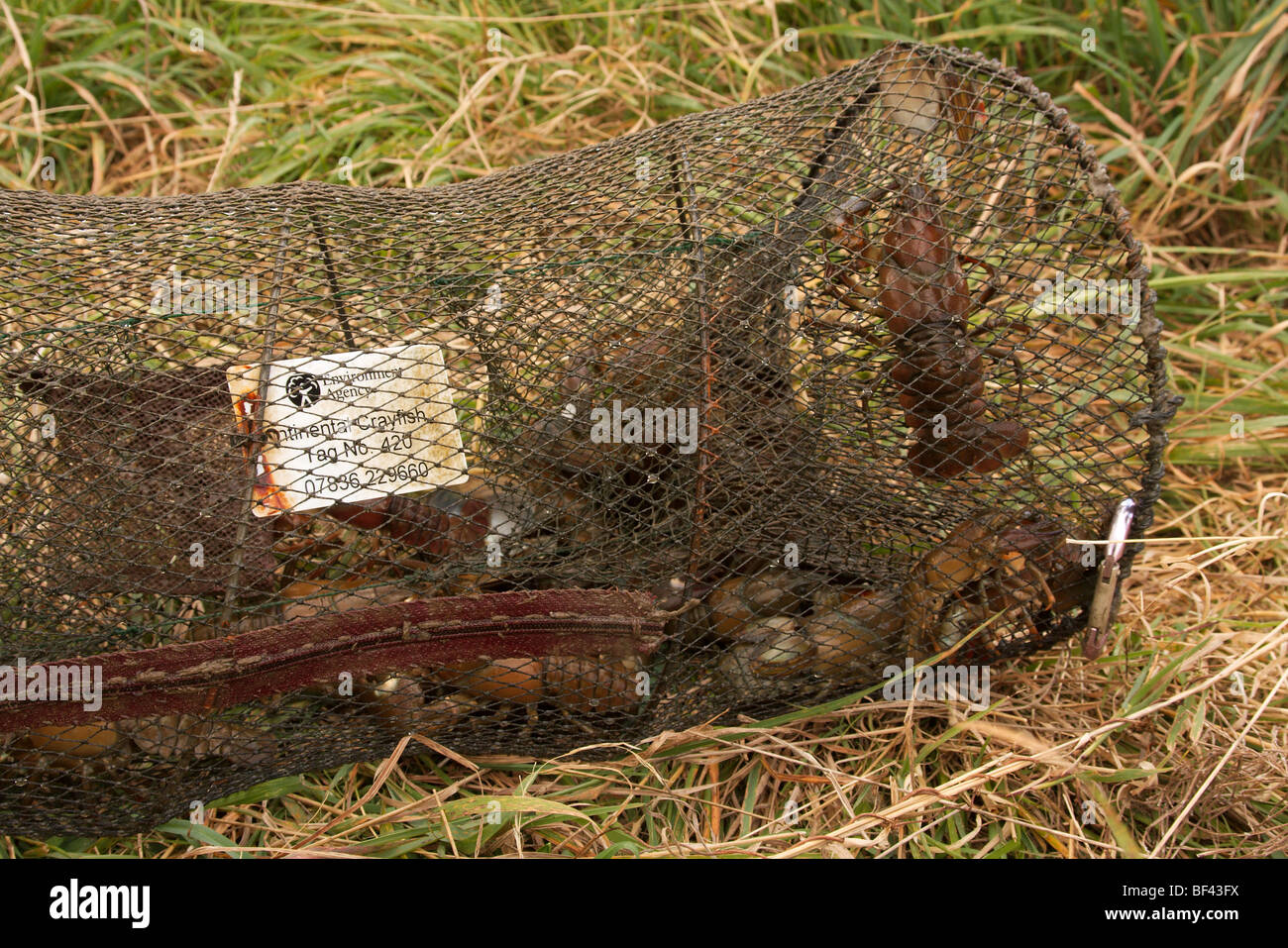 Crayfish trap hi-res stock photography and images - Alamy