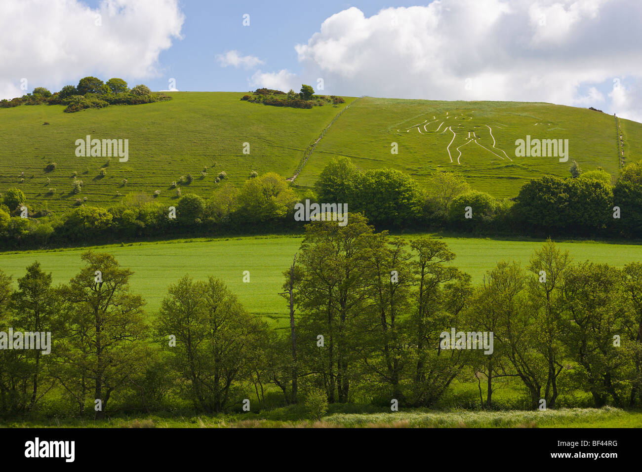 'Cerne Abbas' Giant Dorset England Stock Photo