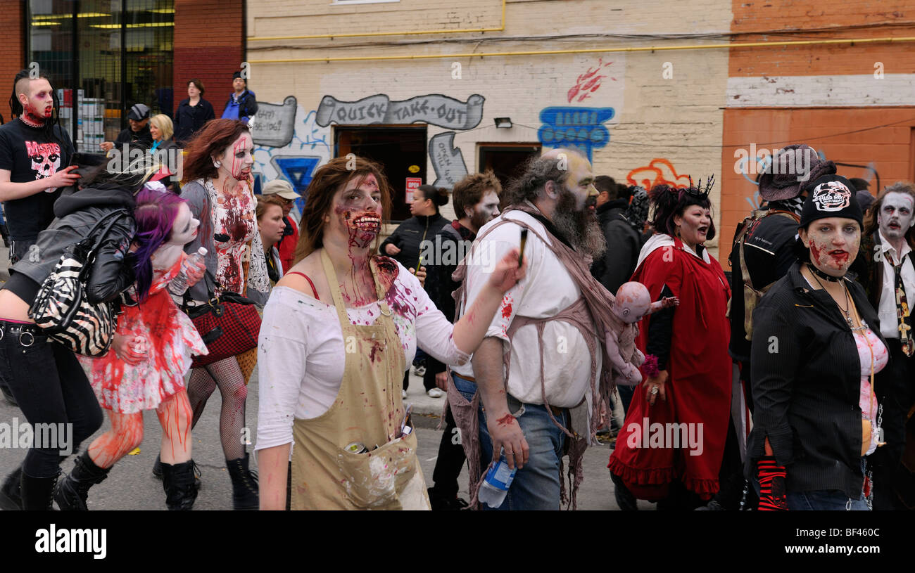 Panorama of a mob of Zombies with fake blood and make up trudging along in the annual Toronto Zombie walk Stock Photo