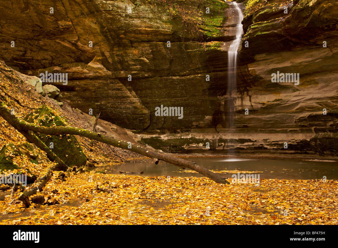 Ottawa Canyon Falls In Autumn Starved Rock State Park Illinois