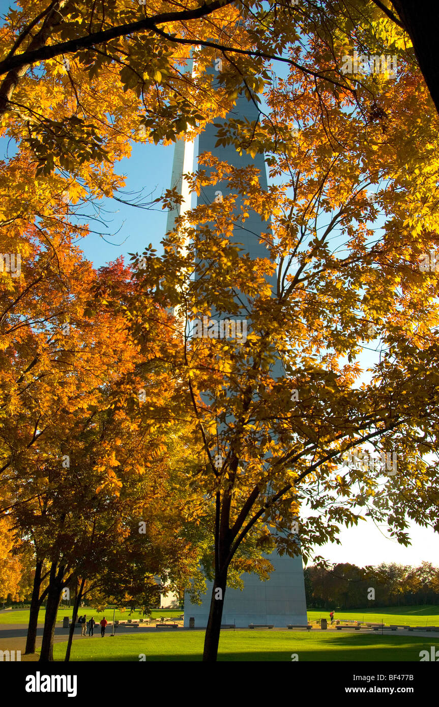The St. Louis Arch seen through fall trees at sunset. Stock Photo