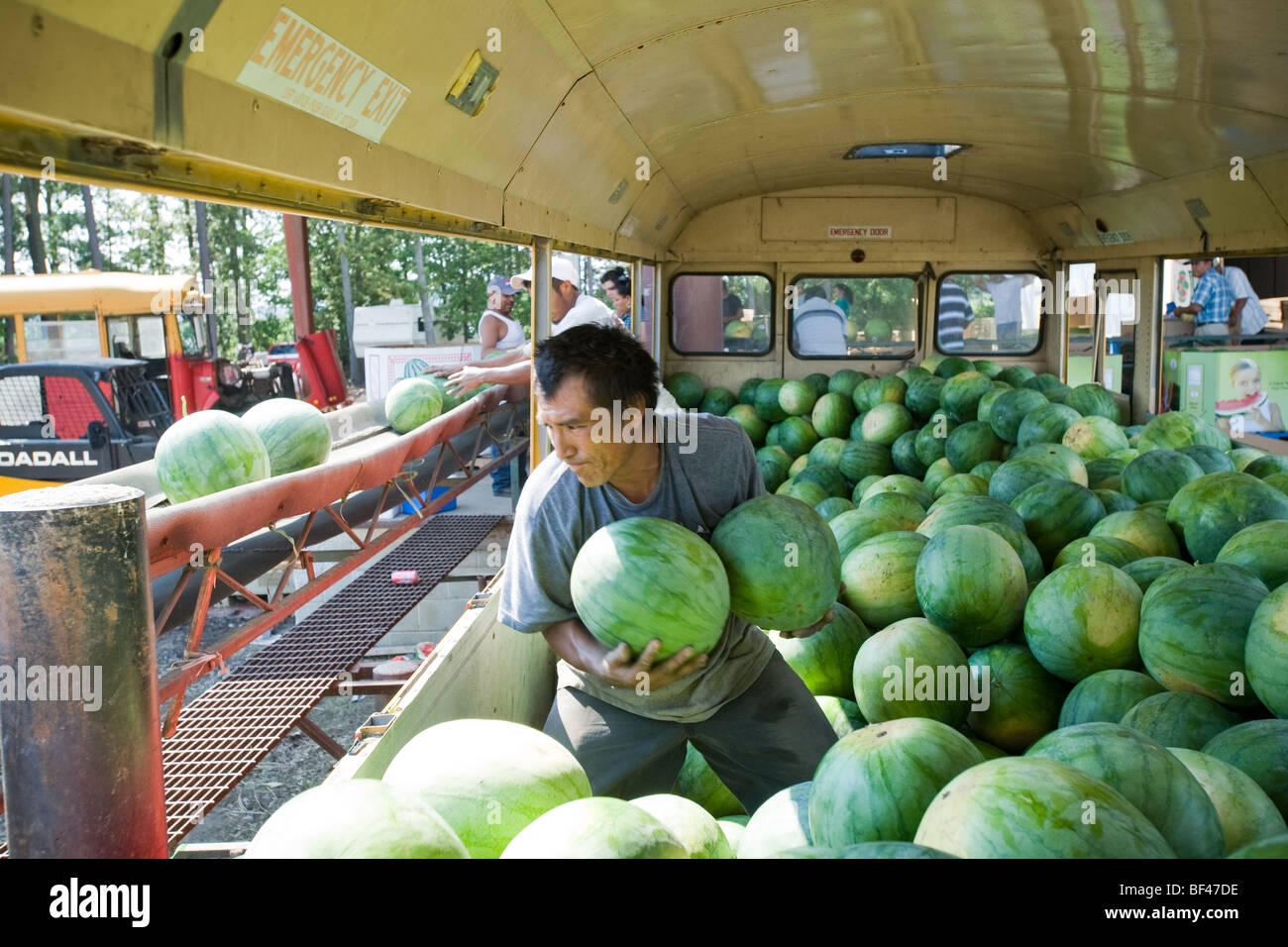 Converted school bus hires stock photography and images Alamy