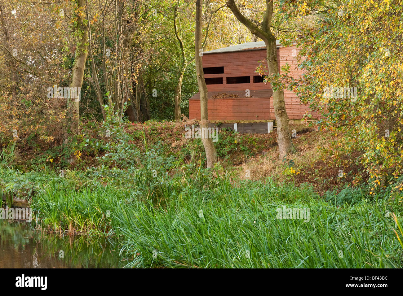 'Bird hide' overlooking a small pool Stock Photo