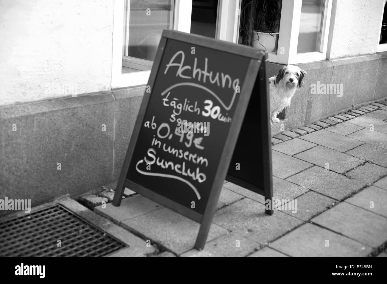 A dog looks from behind a sign saying Achtung outside a shop in Germany Stock Photo