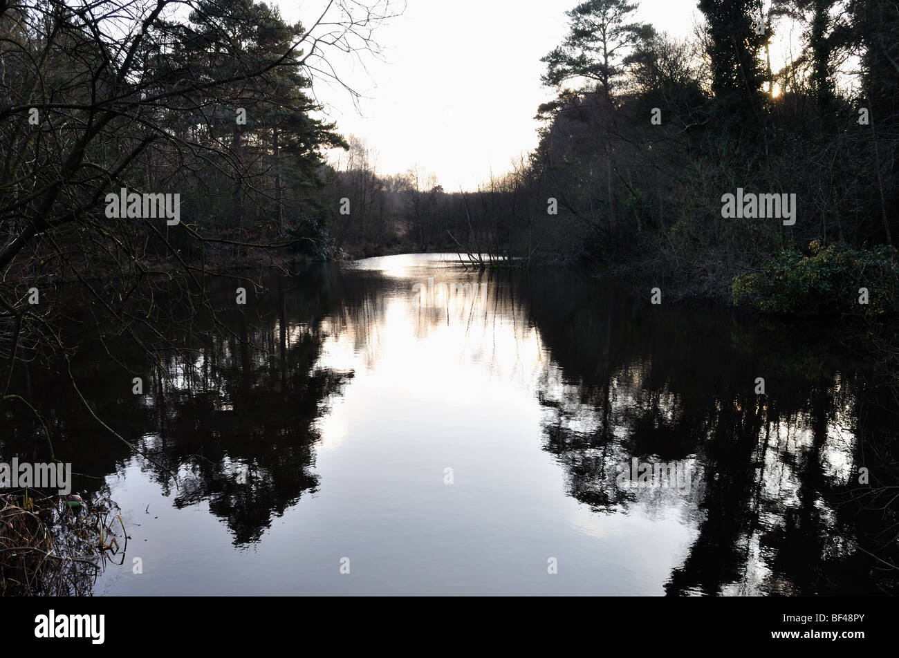Reflections of trees in a lake Stock Photo - Alamy