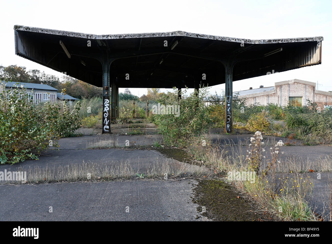 Roofed platform, overgrown terrain, former Ausbesserungswerk repair shop of German Railways, closed in 2003, Duisburg-Wedau, No Stock Photo