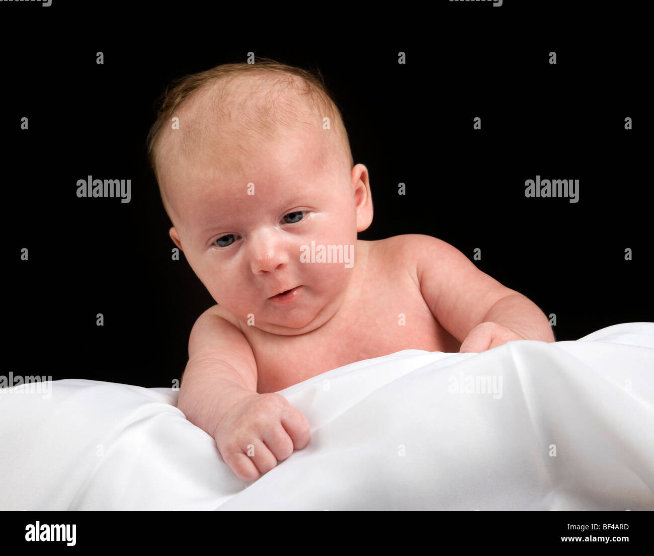Baby, girl, 5 weeks old Stock Photo