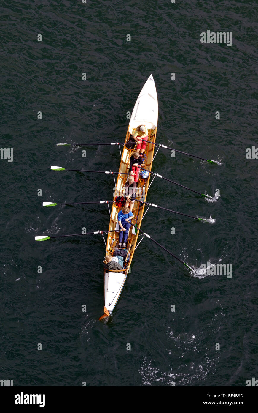 Water sports, quadruple sculls with steersman, young rowers in action Stock Photo