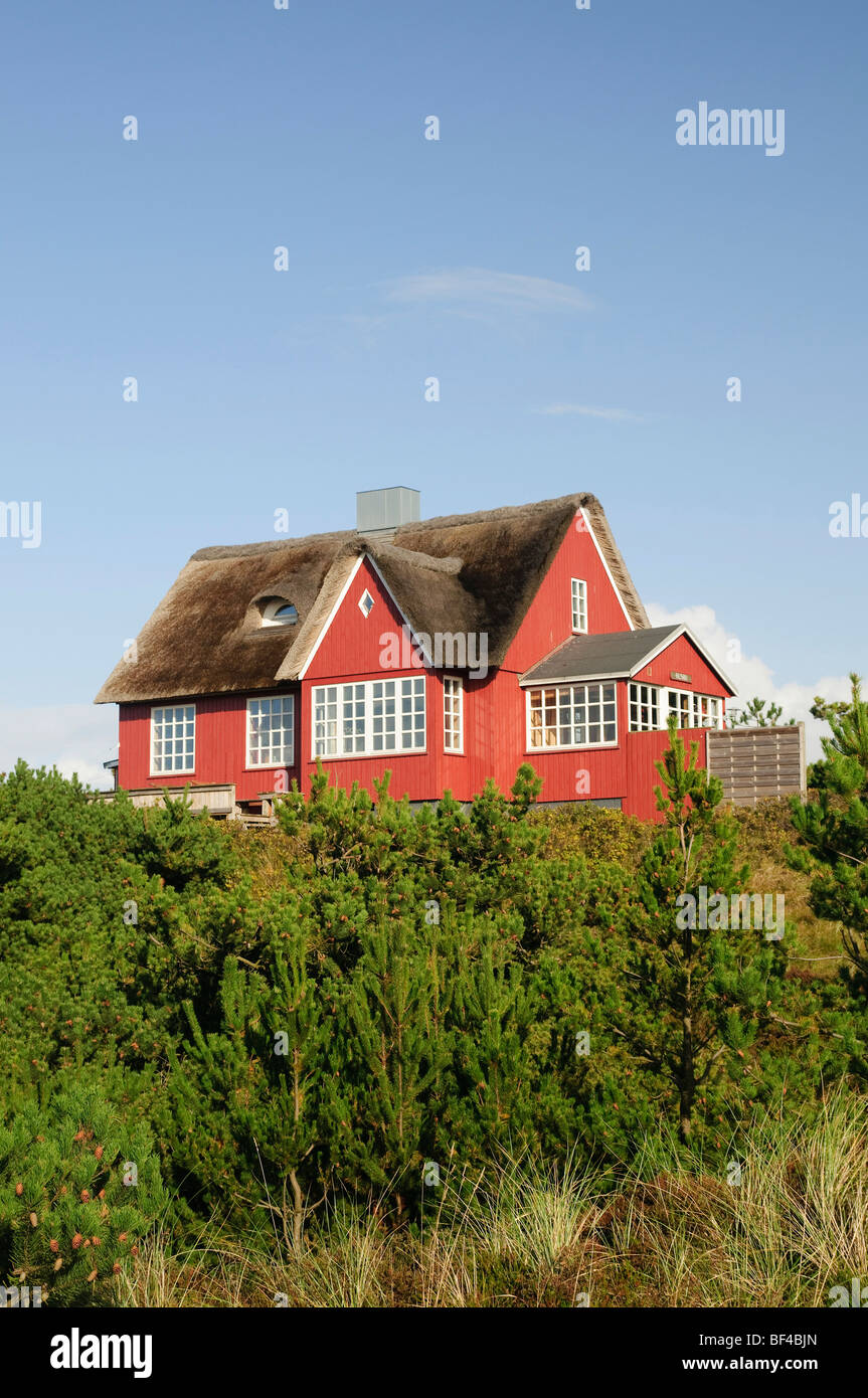 Classic, thatched house at Vejer beach, Jutland, Denmark, Europe Stock
