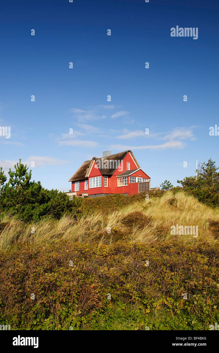 Classic, thatched house at Vejer beach, Jutland, Denmark, Europe Stock