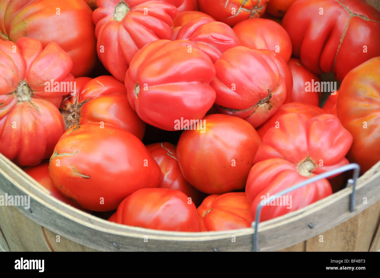 Bushel of tomatoes hires stock photography and images Alamy