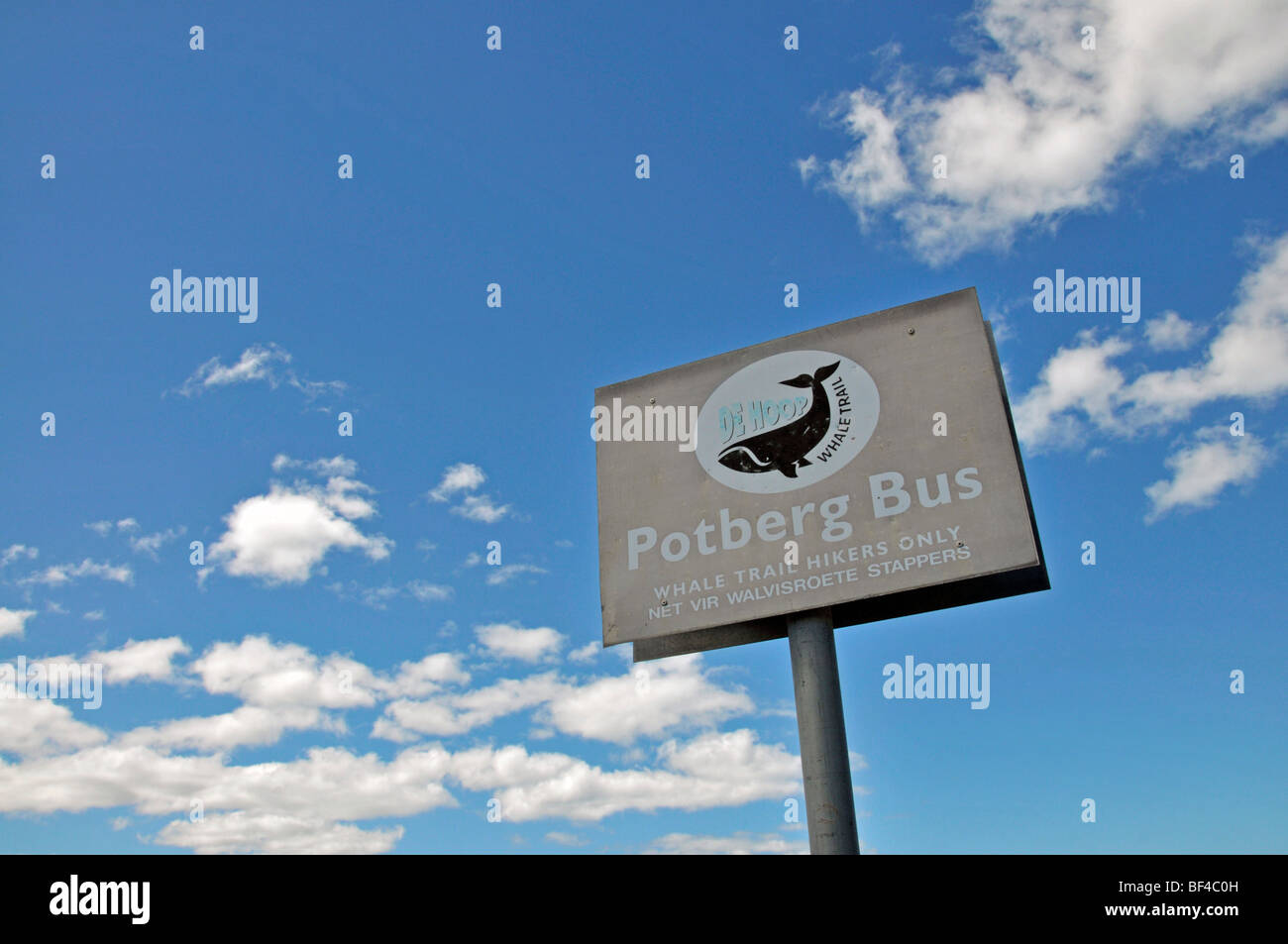 Whale trail, sign, De Hoop Nature Reserve, South Africa, Africa Stock Photo