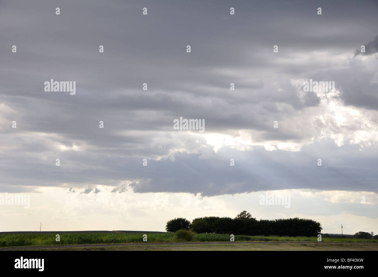 Rural Texas in the evening Stock Photo