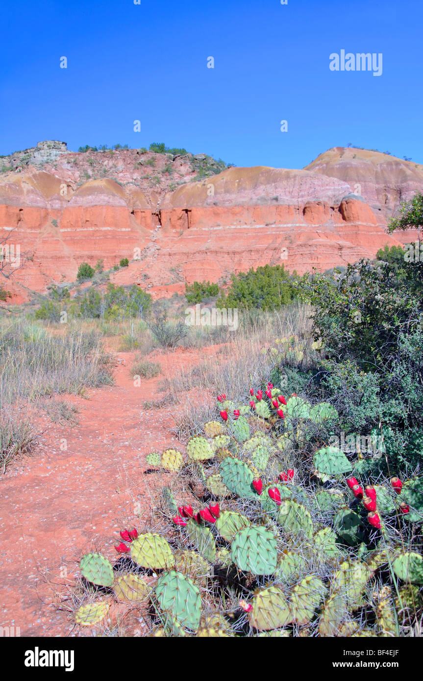 Palo Duro canyon in Texas 2nd largest canyon in the United States