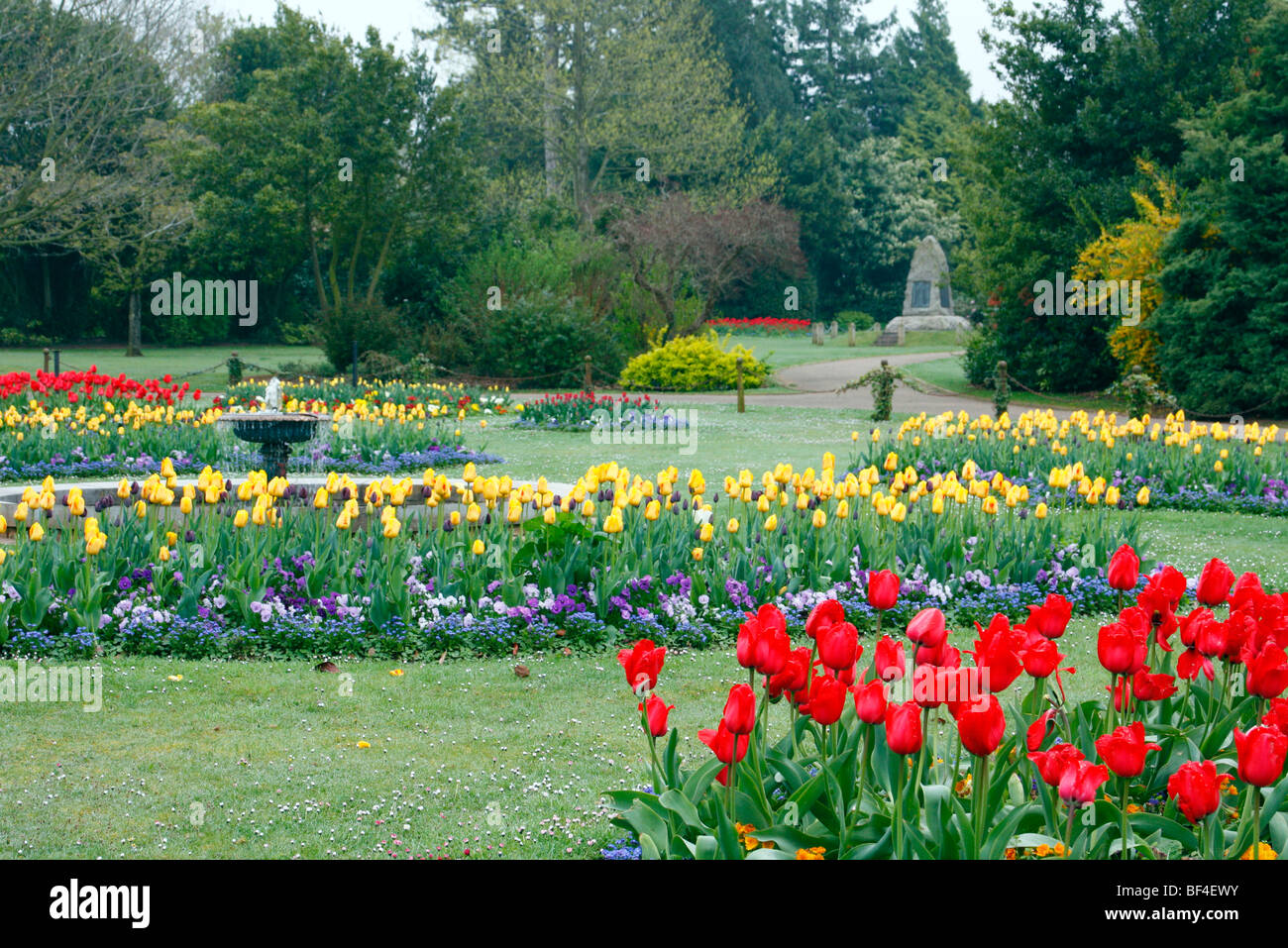 Traditional Spring Bedding with Tulipa, Myosotis and Wallflowers in Wellington Park, Somerset Stock Photo
