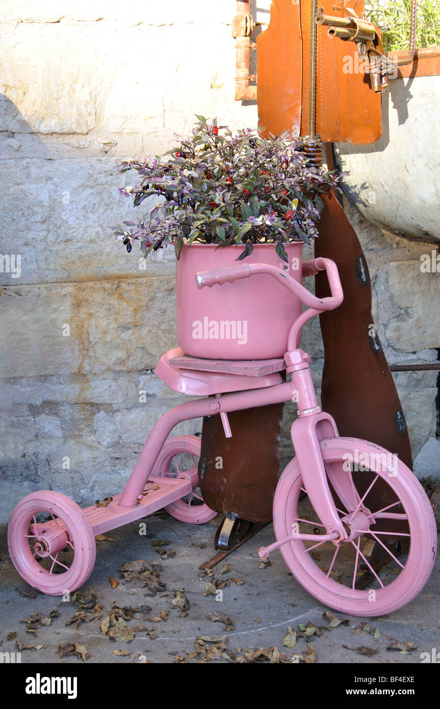 Pink tricycle and plant pot Stock Photo