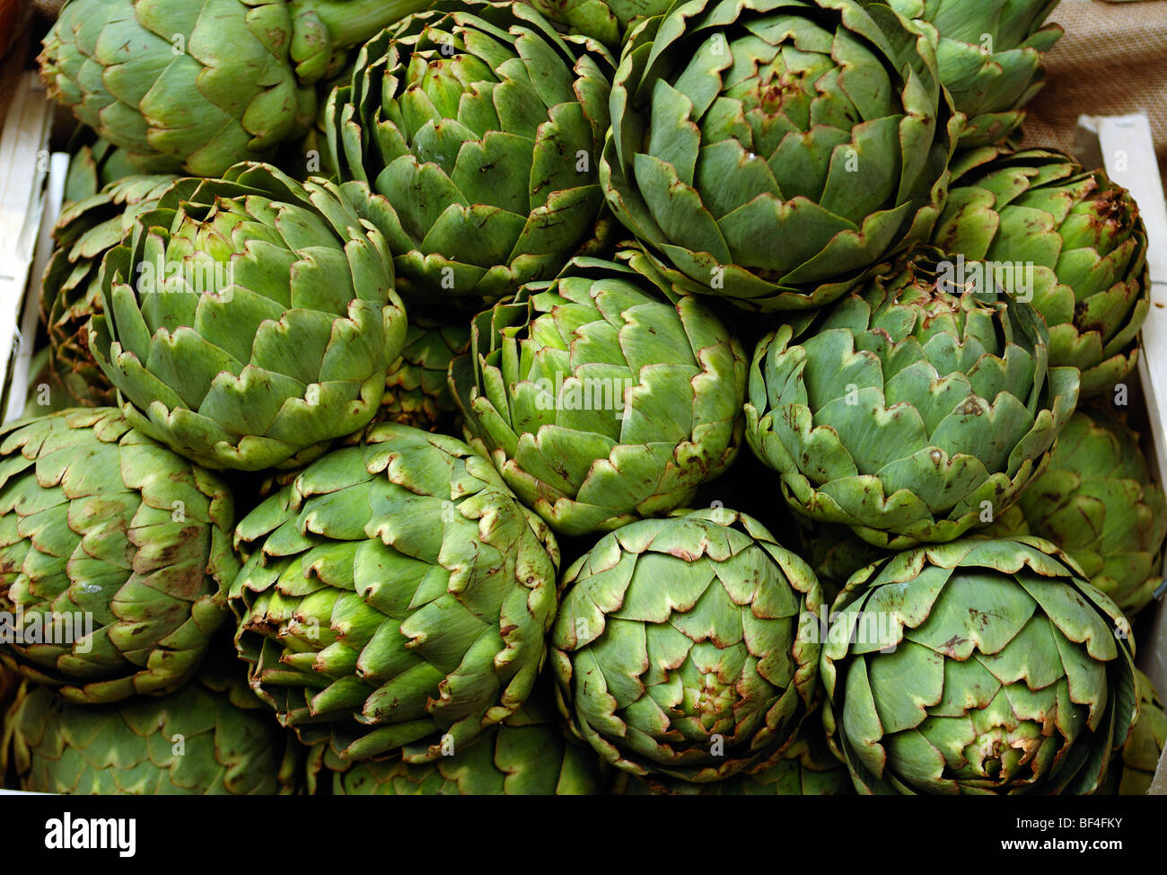 Artischocken artichokes hires stock photography and images Alamy