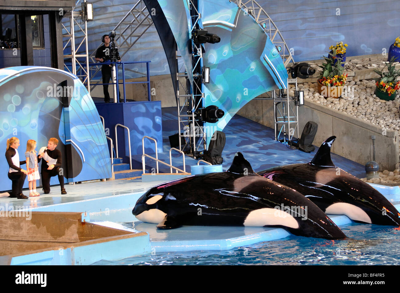 Seaworld trainers hi-res stock photography and images - Alamy
