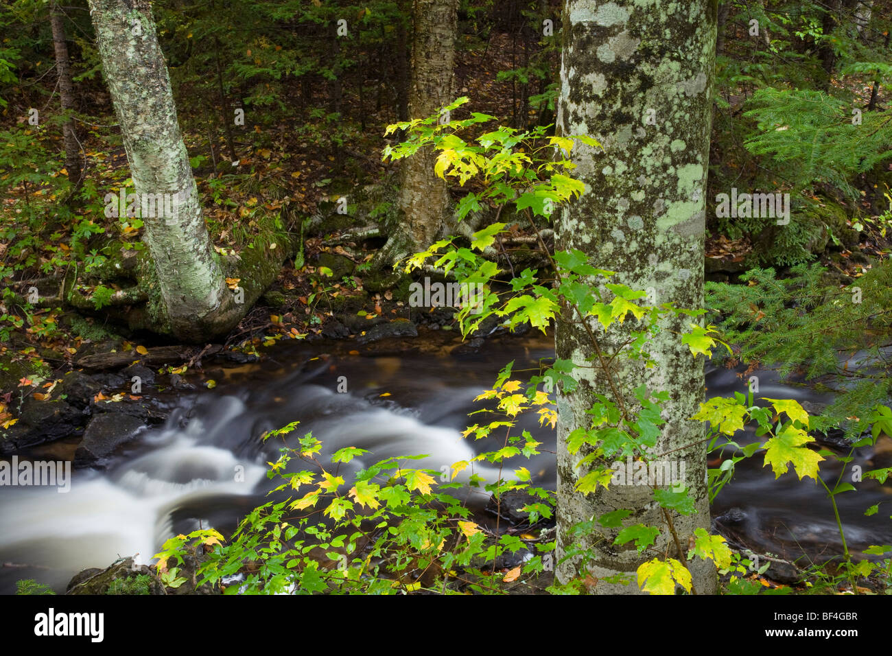 Section 34 Creek, Pictured Rocks National Lakeshore, Michigan Stock Photo