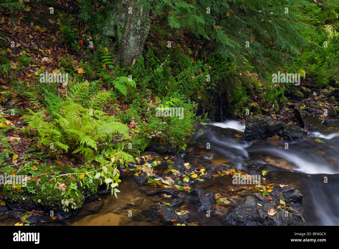 Section 34 Creek, Pictured Rocks National Lakeshore, Michigan Stock Photo