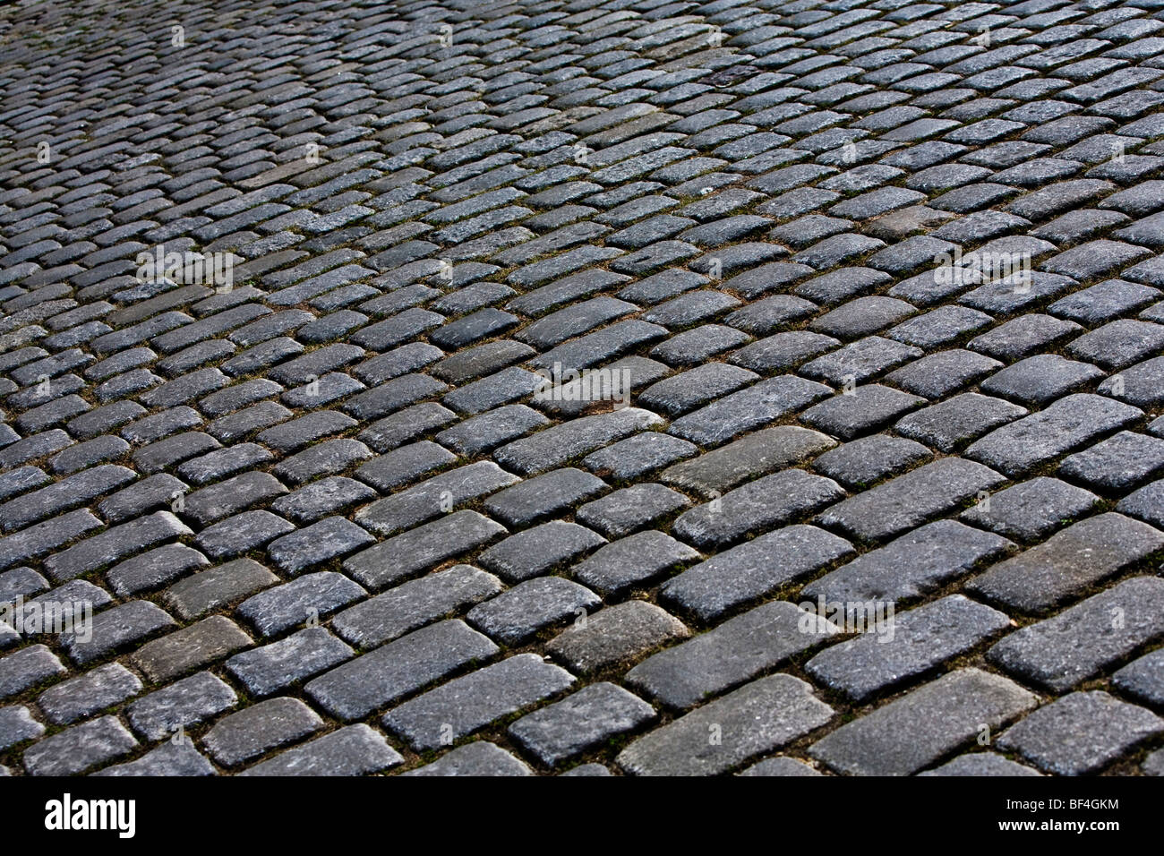 Cobblestone pavement Stock Photo