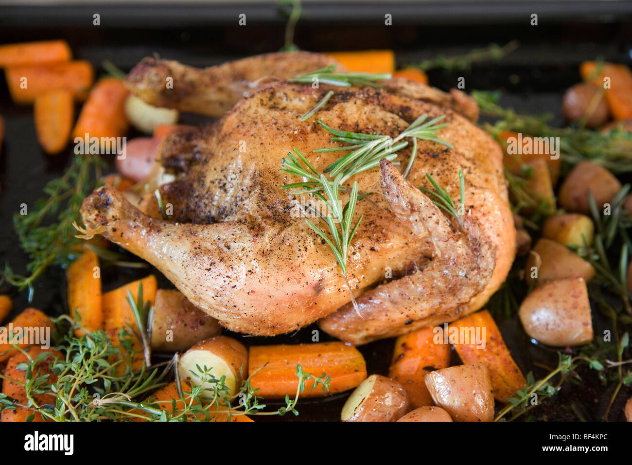 A roast chicken on a baking tray with rosemary, carrots, potatoes and sweet potatoes Stock Photo