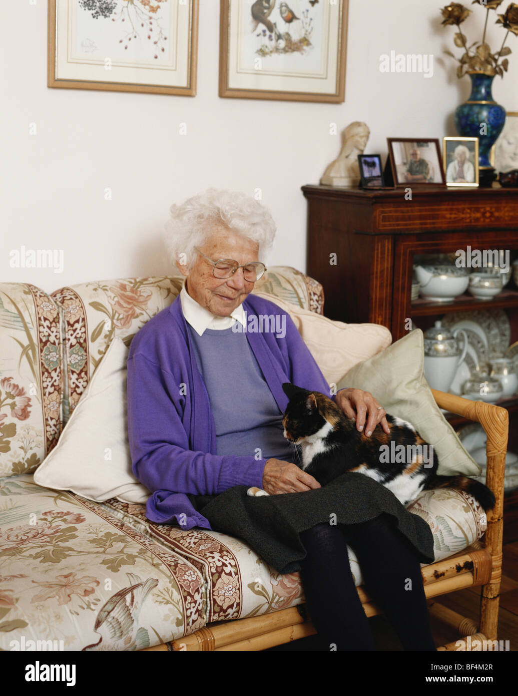 Elderly lady at home stroking her pet cat Stock Photo