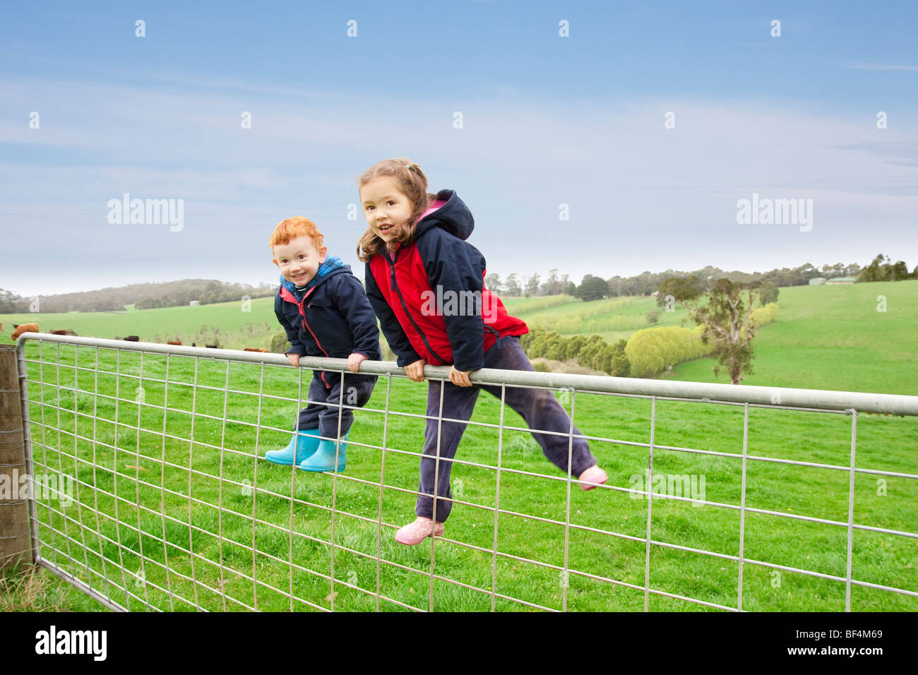 Young boy and girl on farm gate with rural farm background Stock Photo