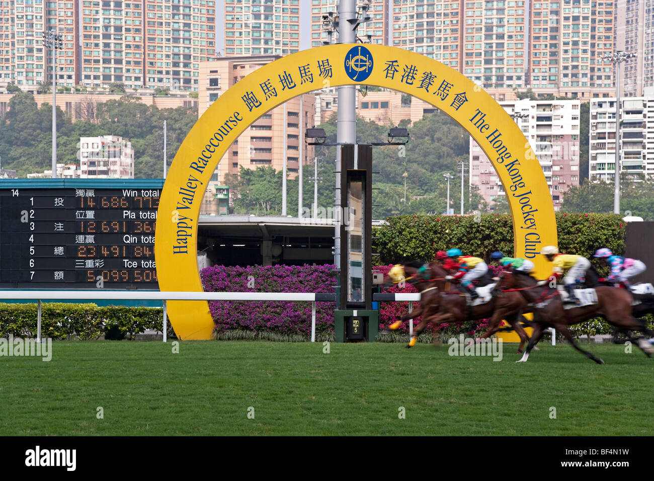 China, Hong Kong, Horses race past large scoreboard during race at