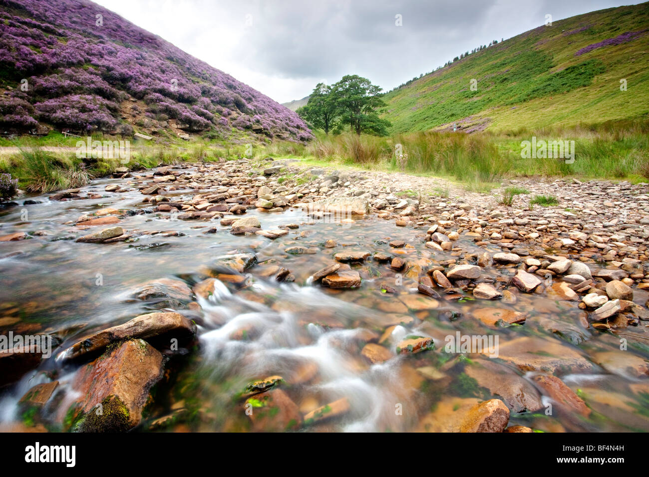 Fairbrook running off from Kinder Scout by the Woodlands valley and the A57 Snake Road in the Peak District National Park. Stock Photo