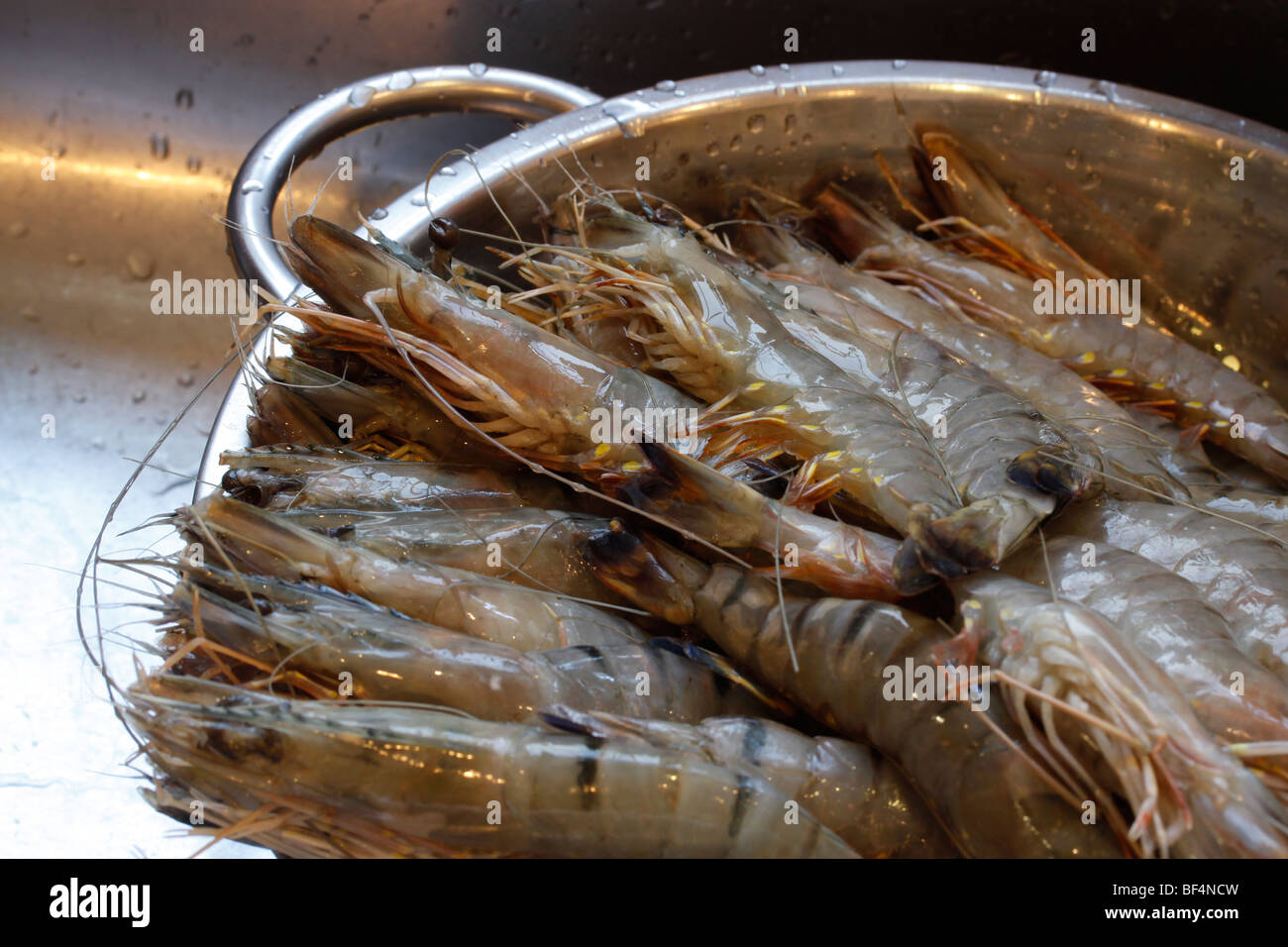 Raw frozen prawns thawing in colander Stock Photo Alamy