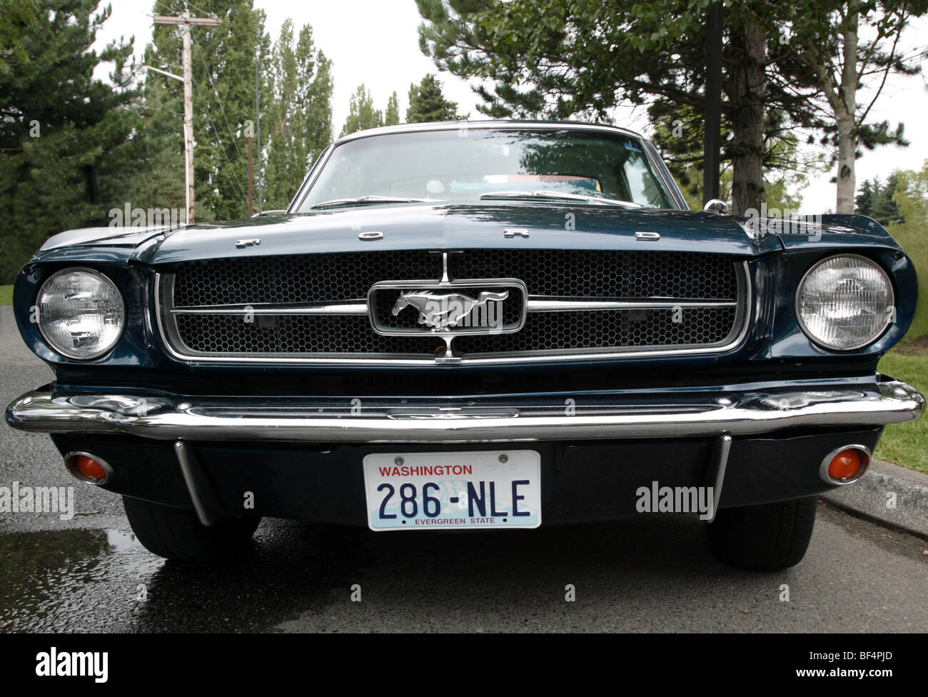 Front view of a 1965, First generation Ford Mustang on show at  the 22nd annual Northwest Muscle Car Show,  Issaquah, Washington, USA Stock Photo