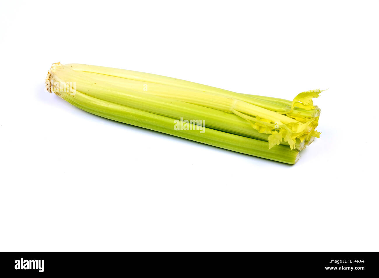 Celery against a white background Stock Photo