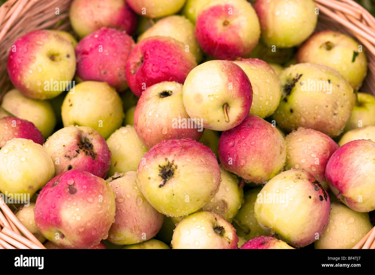 Heap of red ripe apples, may be used as background Stock Photo