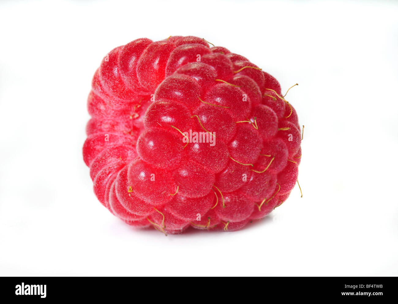 raspberry. Deep focus. Isolated over white background Stock Photo