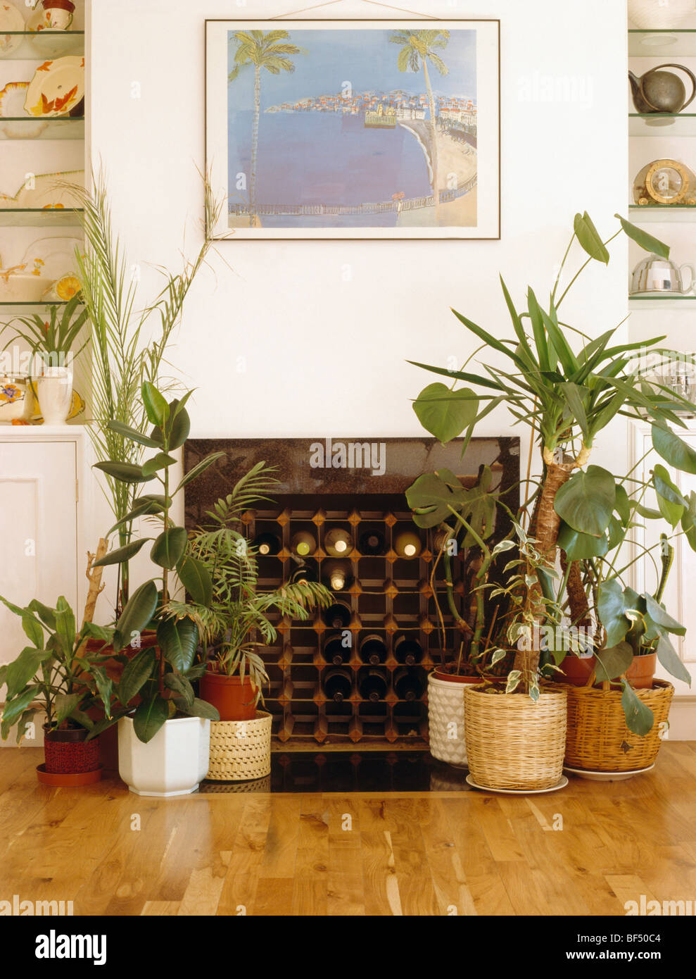 Close-up of houseplants in pots and baskets beside fireplace with wine rack  Stock Photo - Alamy