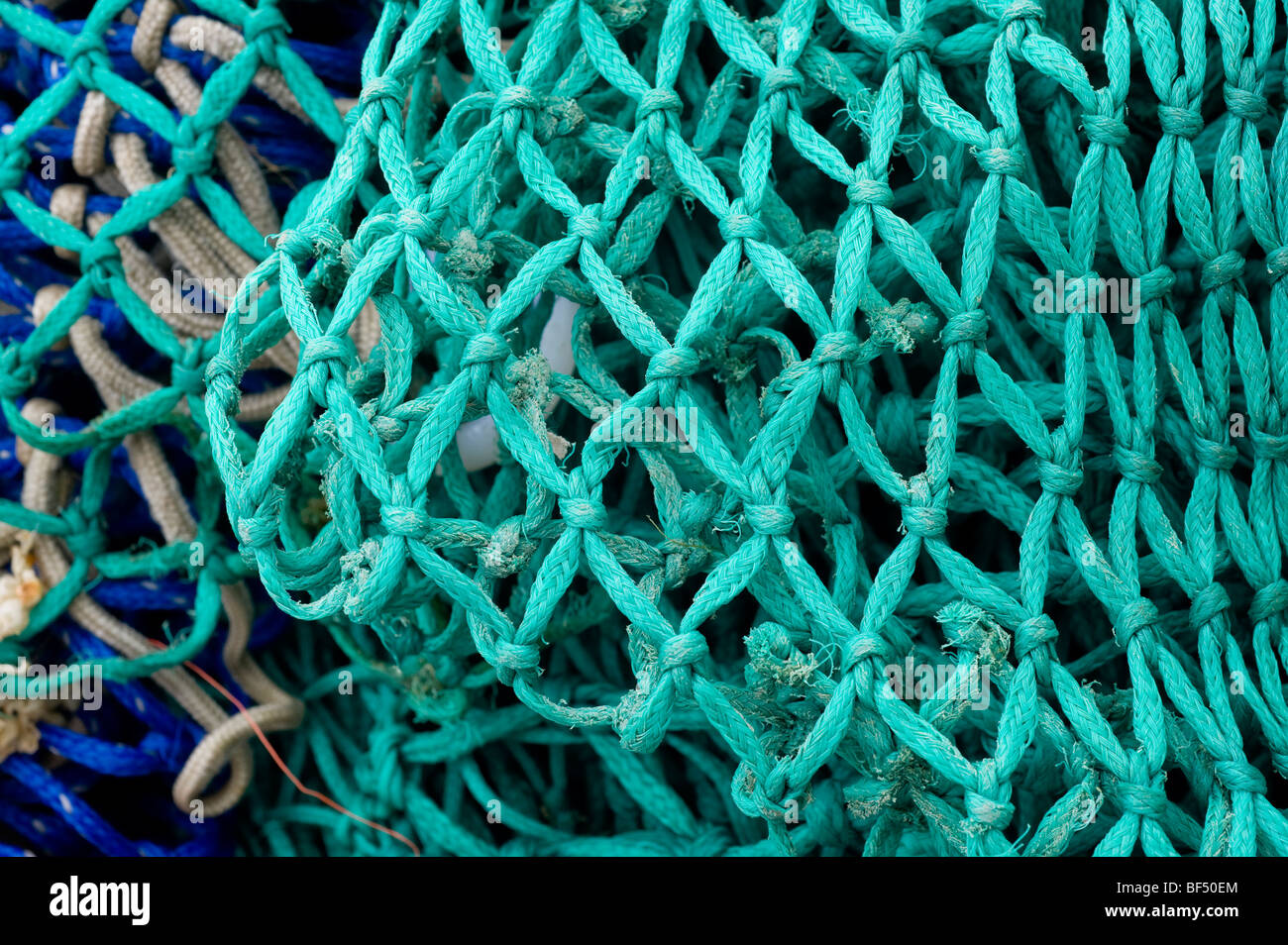Industrial commercial green blue and white coloured fishing nets line