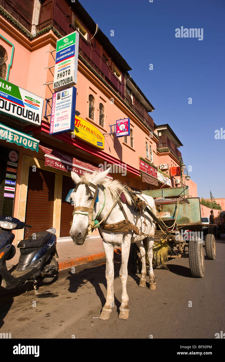 MARRAKESH, MOROCCO - Donkey and cart on Fatima Zohra street. Stock Photo
