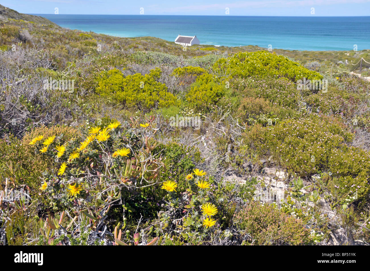 De Hoop Nature Reserve, South Africa, Africa Stock Photo