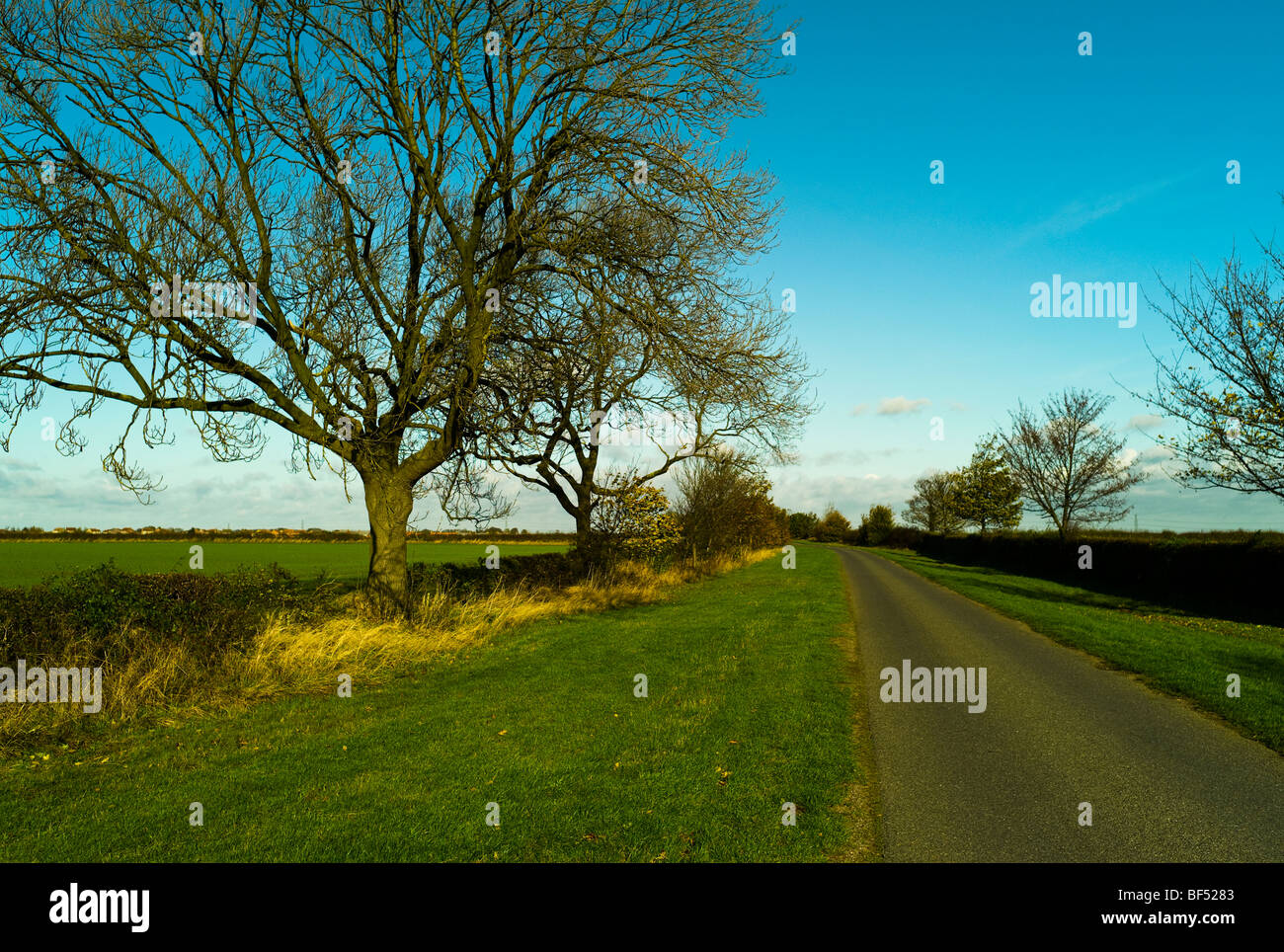 Ermine street roman road hires stock photography and images Alamy