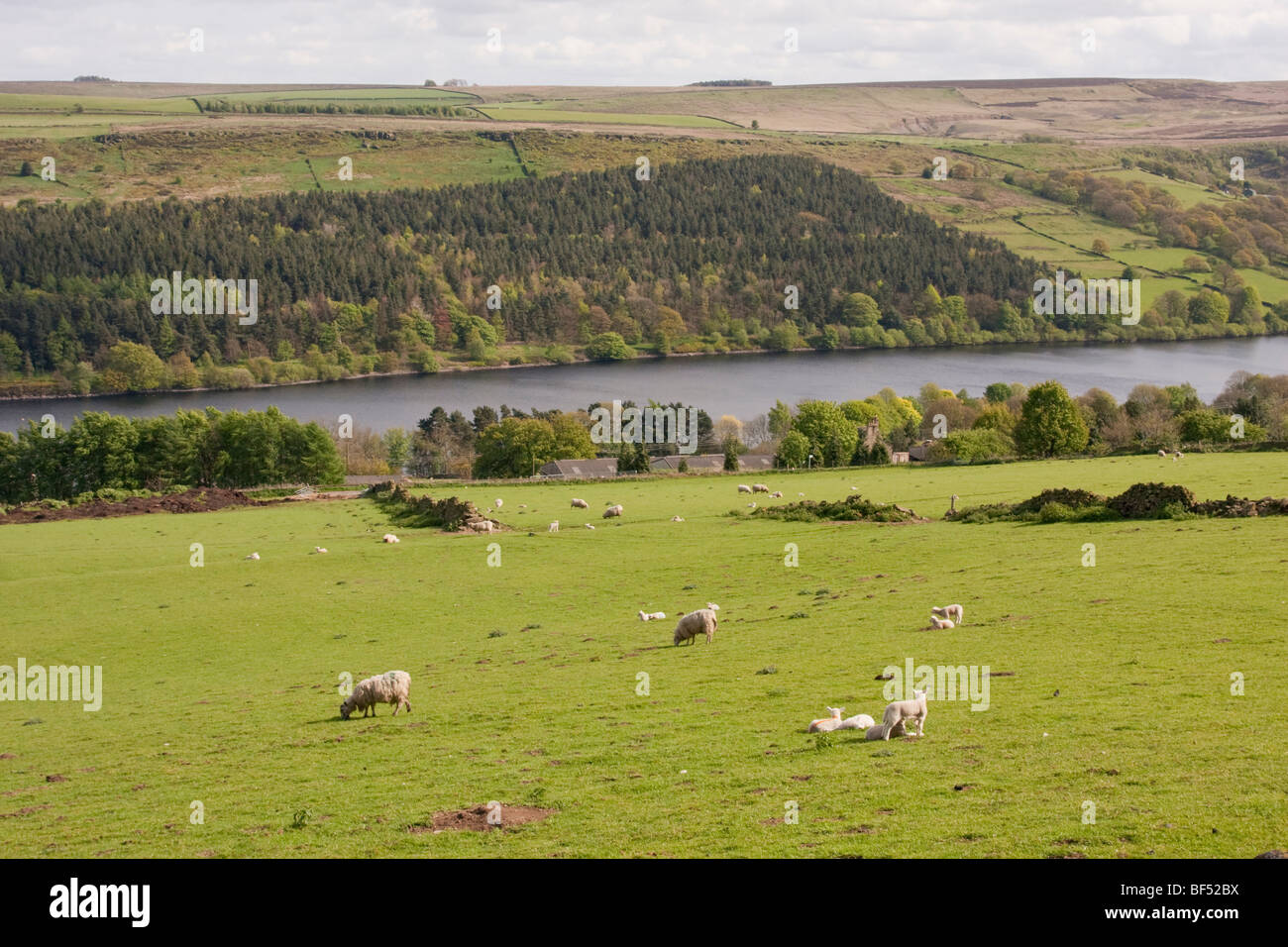 Broomhead Reservoir in the Peak District National Park Stock Photo Alamy