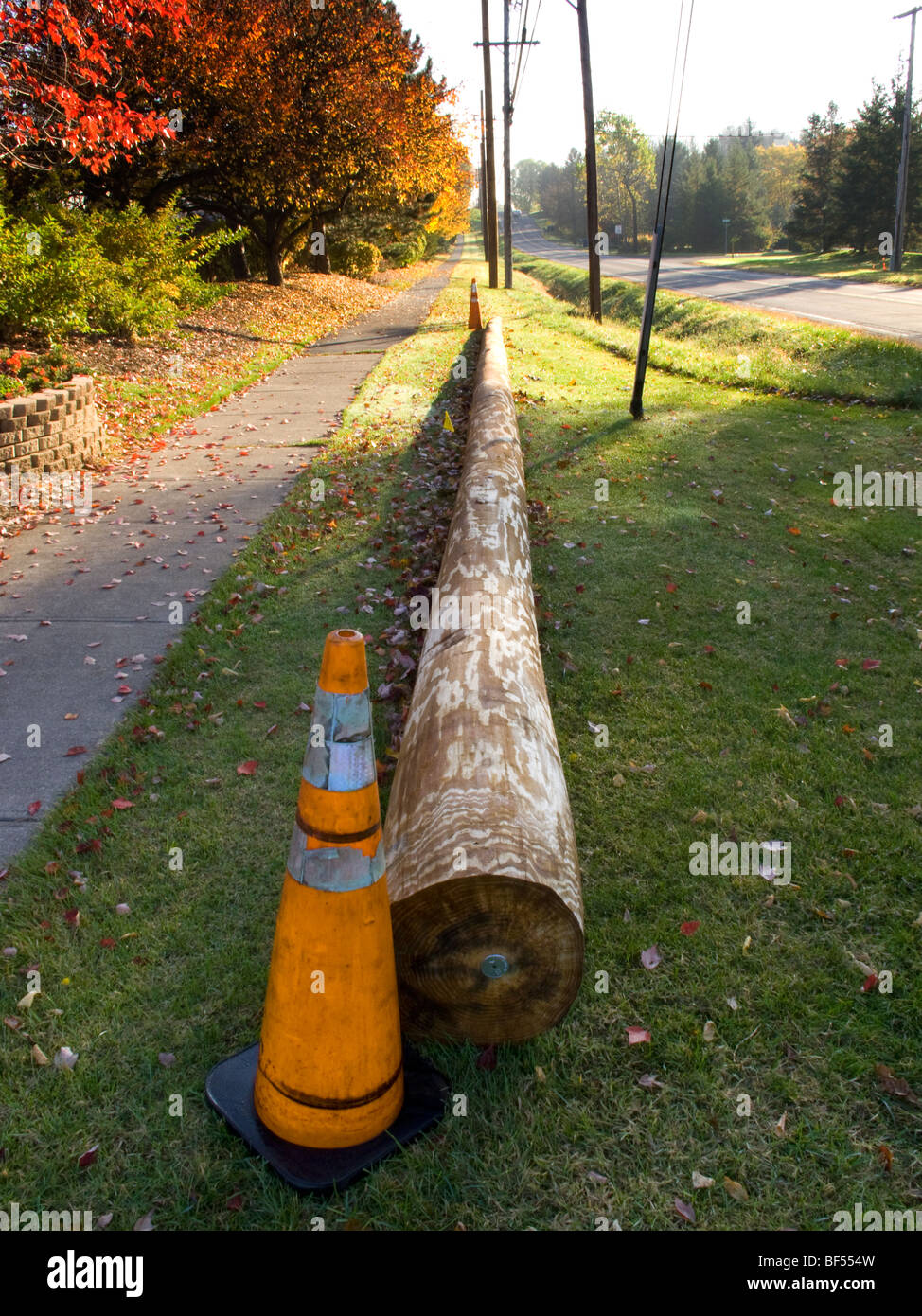 New utility pole waiting to be installed Stock Photo Alamy