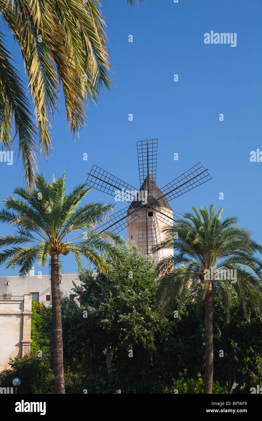 Historic windmill of Es Jonquet in Palma de Mallorca, Mallorca, Majorca, Balearic Islands, Mediterranean Sea, Spain, Europe Stock Photo