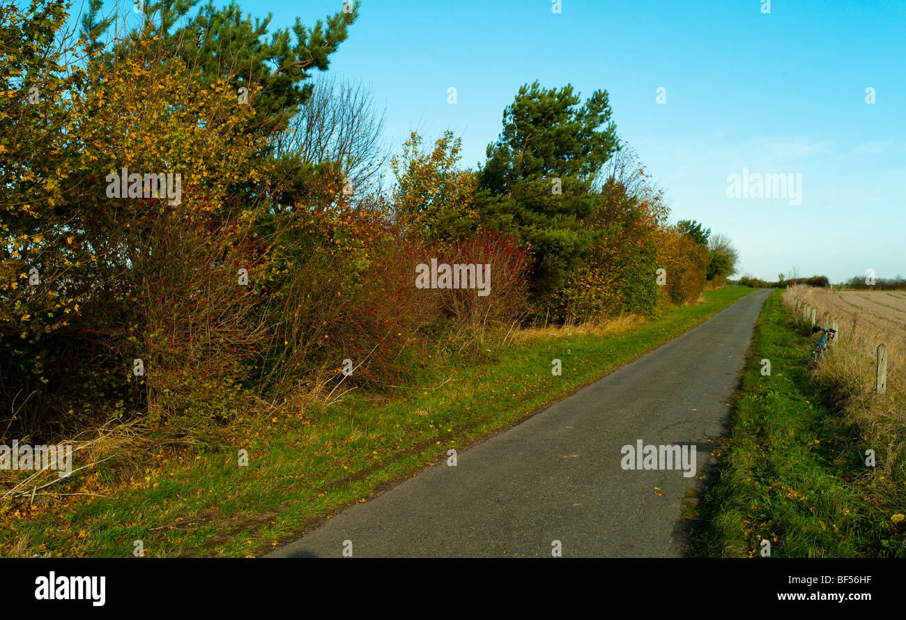 Ermine Street , Lincolnshire, England Stock Photo Alamy