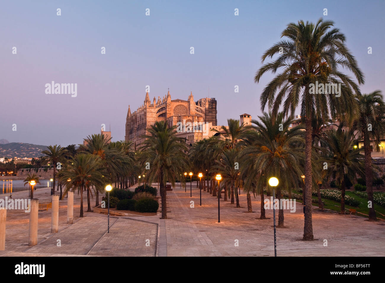 Cathedral La Seu at Palma de Mallorca, Mallorca, Majorca, Balearic Islands, Mediterranean Sea, Spain, Europe Stock Photo