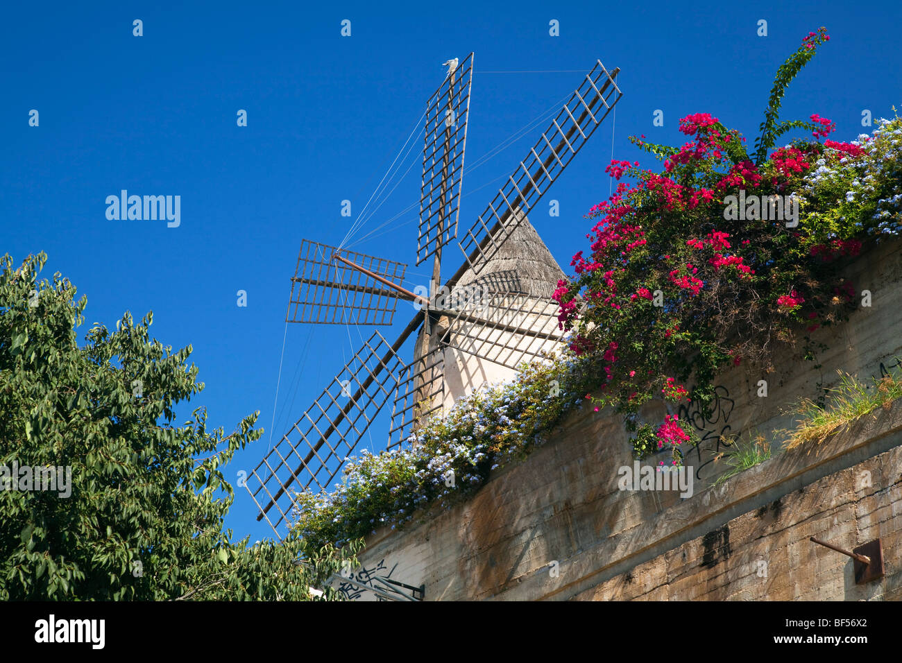 Historic windmill of Es Jonquet in the old town of Palma, Mallorca, Balearic Islands, Spain, Europe Stock Photo