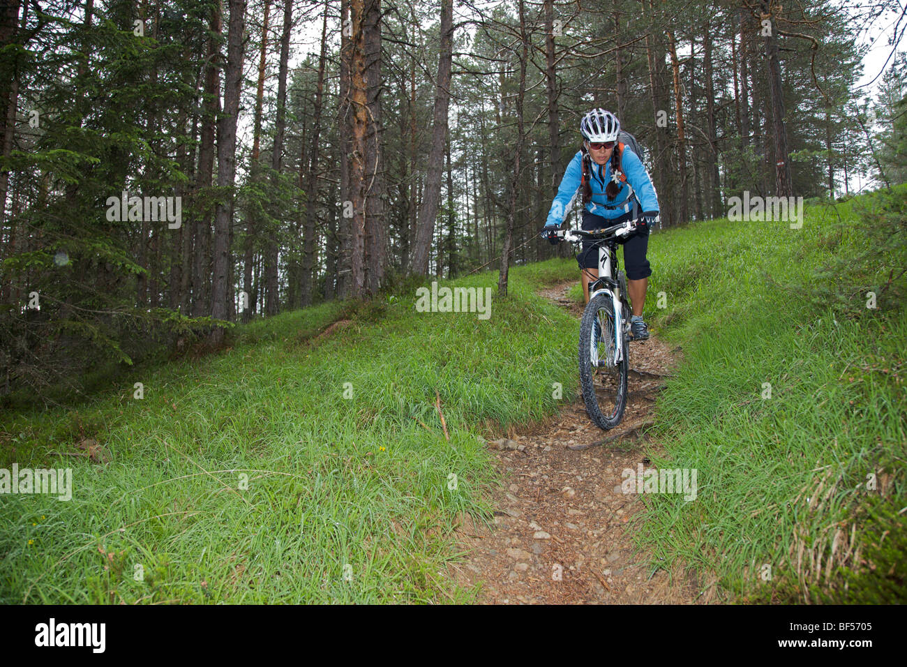 Mountain bike rider on single trail in the forest near San Vigilio, Naturpark Fanes-Sennes-Prags, Trentino, South Tyrol, Italy, Stock Photo