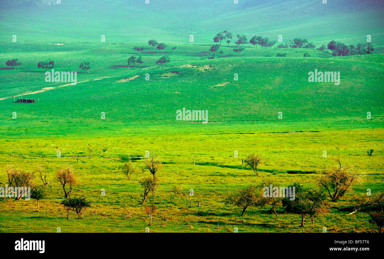 Hulun Buir Grassland, Manzhouli, Hulunbuir City, Inner Mongolia ...