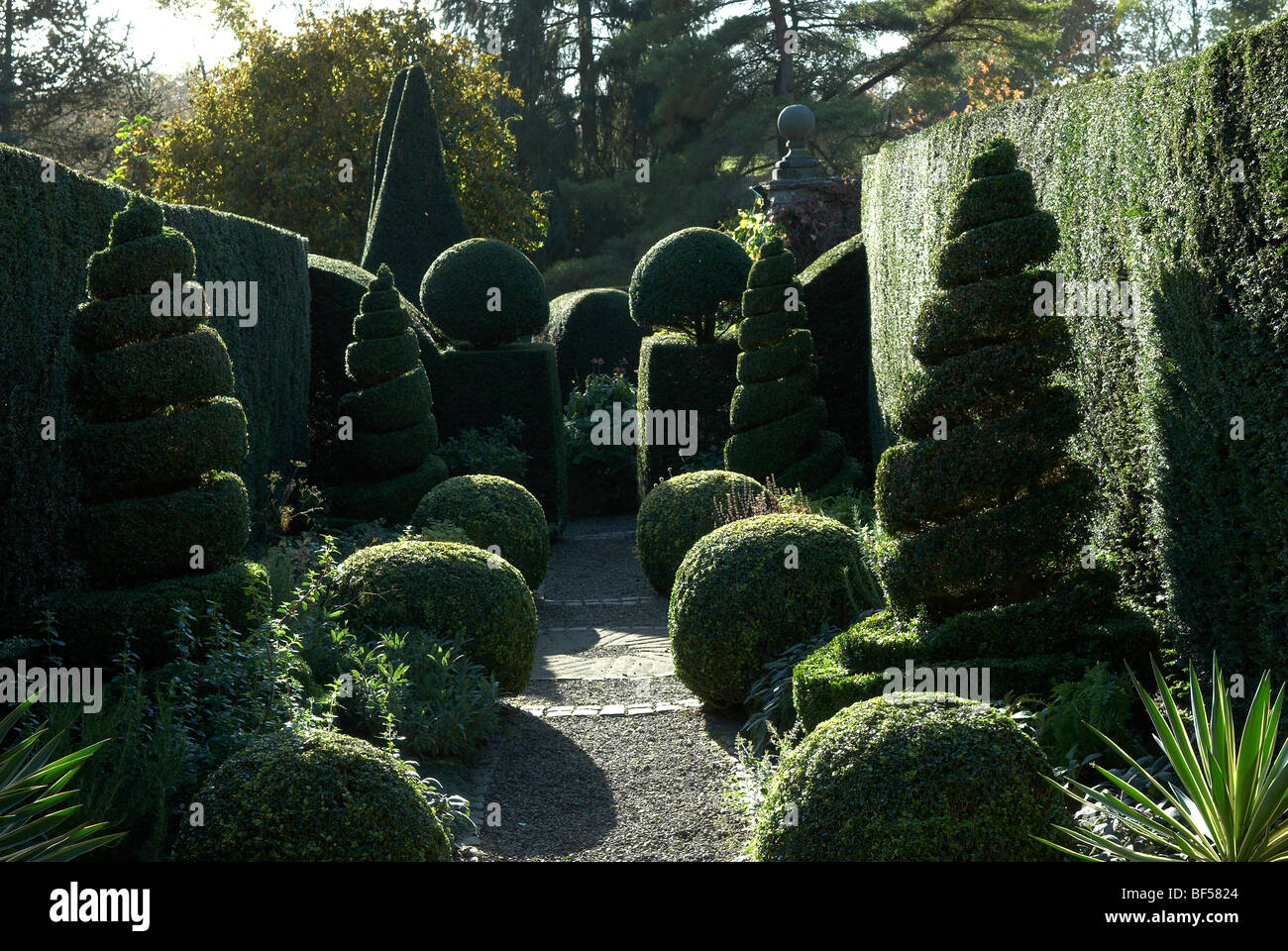 A path leading through a collection of clipped box and yew Stock Photo