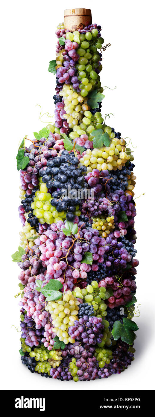 Vine bottle twined round with clusters of grape on a white background Stock Photo